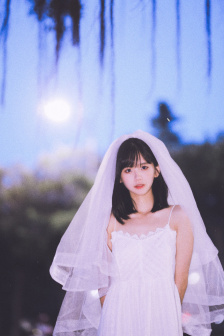 剑蝶(粤语)